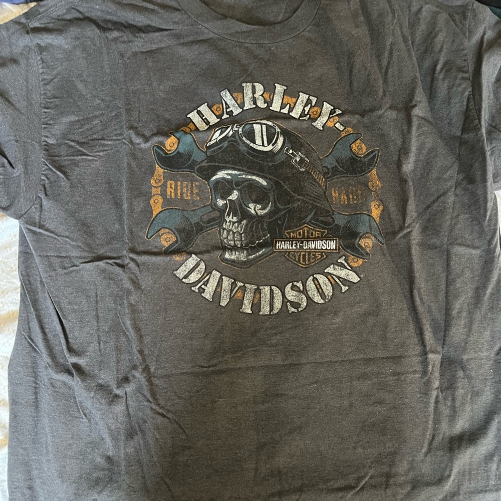 Harley-Davidson Gray Graphic T-Shirt